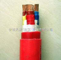 安徽天康---硅橡膠電纜 